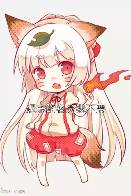 迟来的名分我不要小说