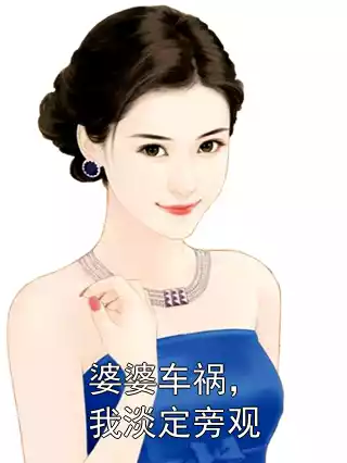 婆婆车祸，我淡定旁观小说