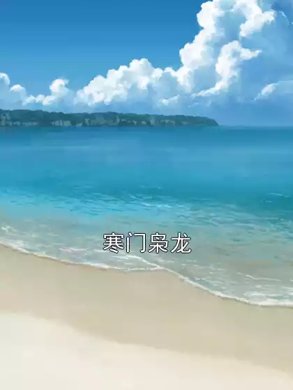 寒门枭龙小说