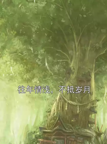 往年情浅，不抵岁月小说