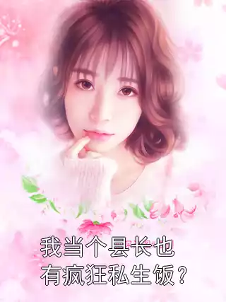 我当个县长也有疯狂私生饭？小说