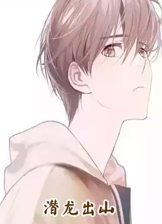 潜龙出山小说