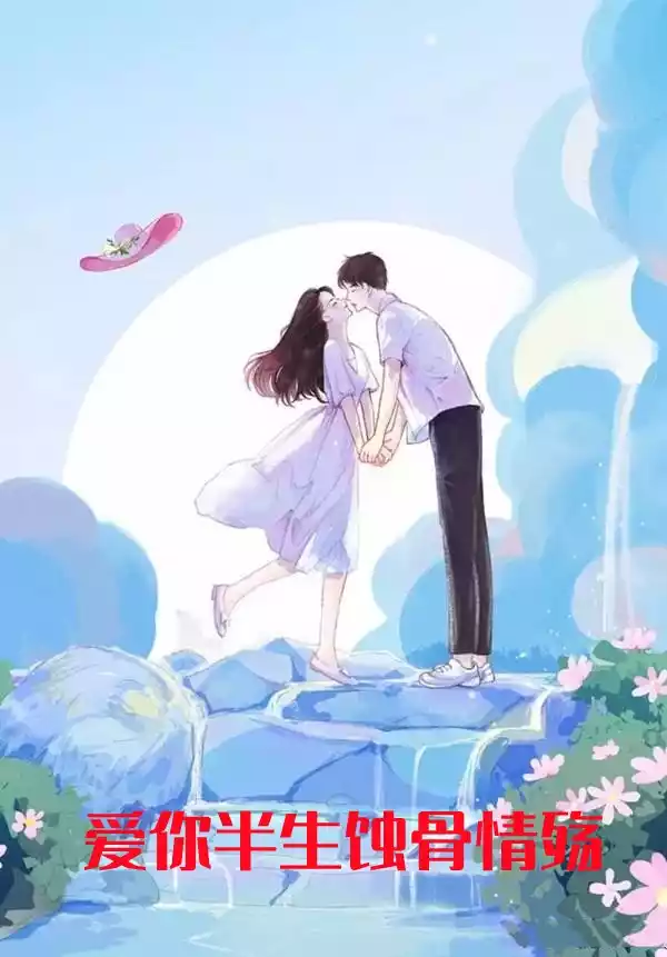 爱你半生蚀骨情殇小说