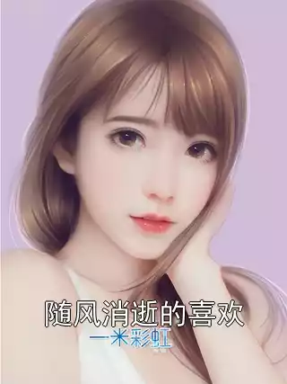 随风消逝的喜欢小说