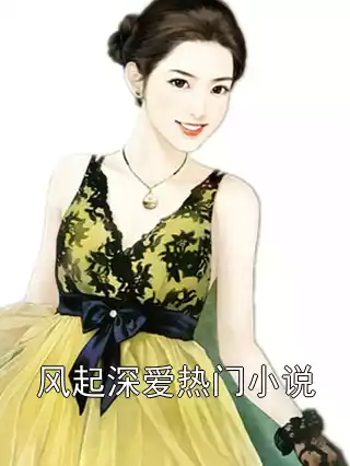 风起深爱热门小说小说