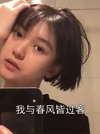 我与春风皆过客小说