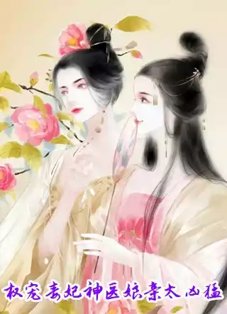 权宠毒妃神医娘亲太凶猛小说