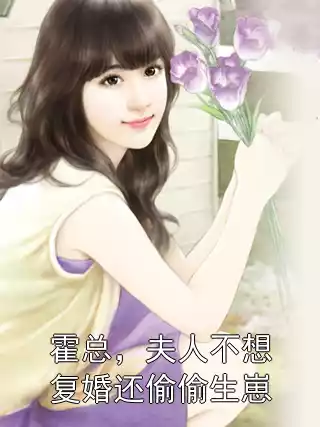霍总，夫人不想复婚还偷偷生崽