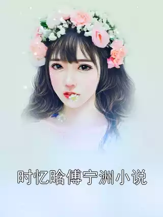 时忆晗傅宁洲小说