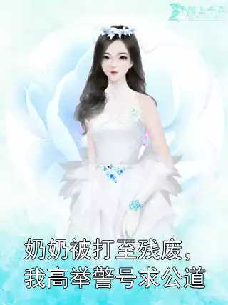 奶奶被打至残废，我高举警号求公道小说