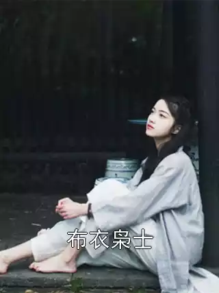 布衣枭士小说