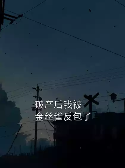 破产后我被金丝雀反包了小说