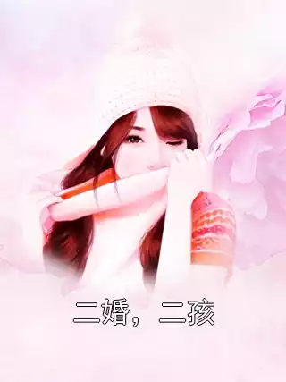 二婚，二孩小说
