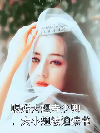 赐婚大理寺少卿，大小姐被迫读书小说