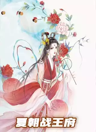 夏朝战王府小说