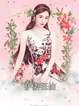 护妻狂仙小说