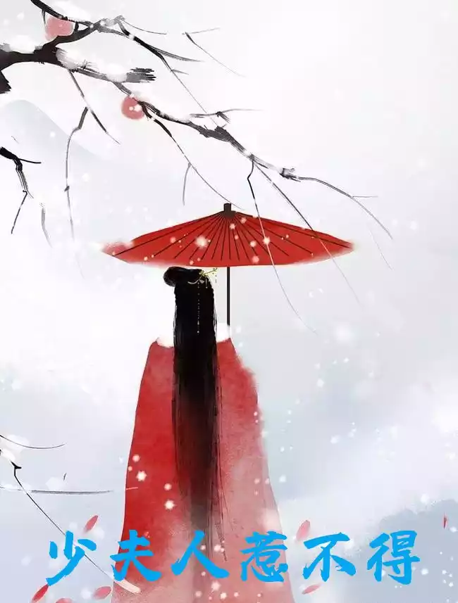 少夫人惹不得小说