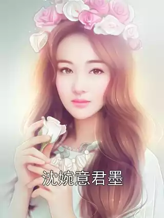 沈婉意君墨小说