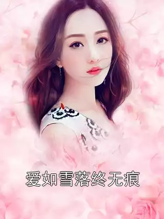爱如雪落终无痕
