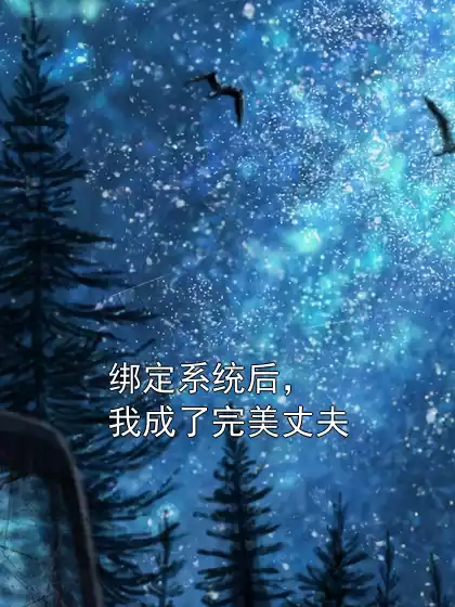 绑定系统后，我成了完美丈夫小说