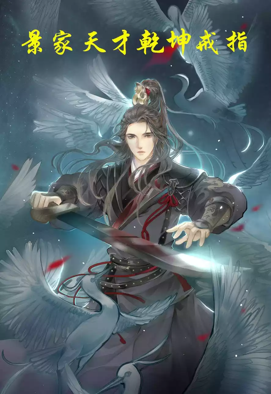 景家天才乾坤戒指