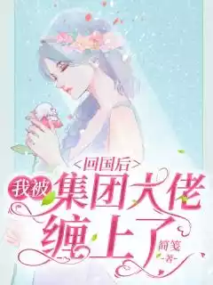 回国后我被集团大佬缠上了小说