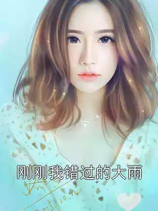 刚刚我错过的大雨小说