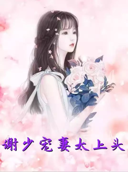 谢少宠妻太上头小说