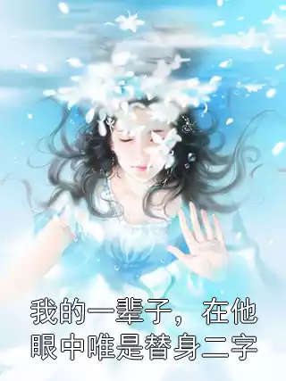 我的一辈子，在他眼中唯是替身二字小说