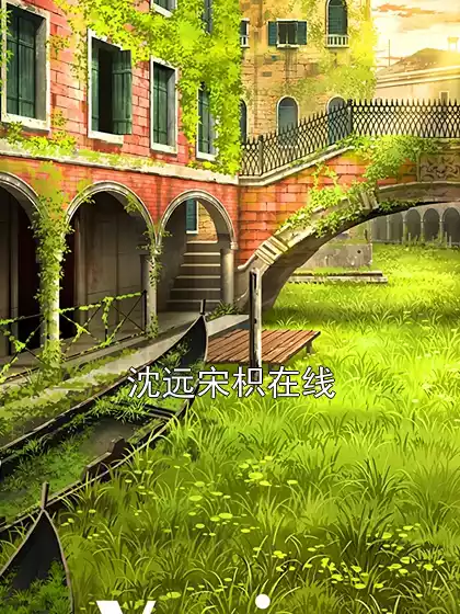 沈远宋枳在线小说