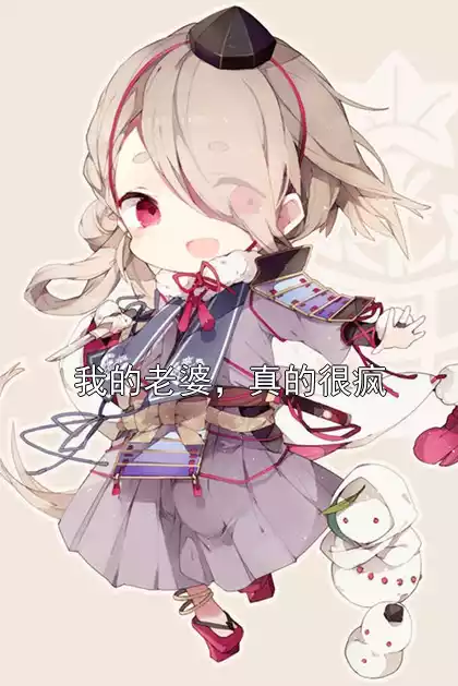 我的老婆，真的很疯小说