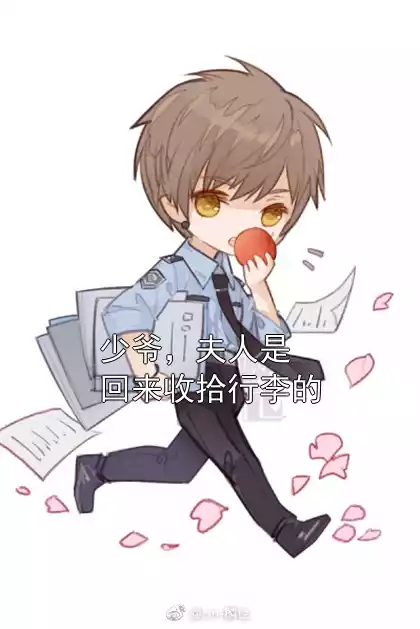 少爷，夫人是回来收拾行李的小说