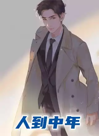 人到中年小说