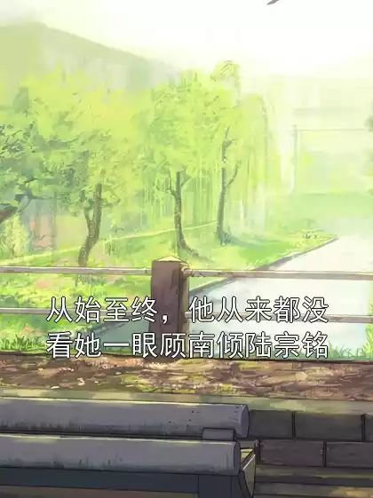 从始至终，他从来都没看她一眼顾南倾陆宗铭