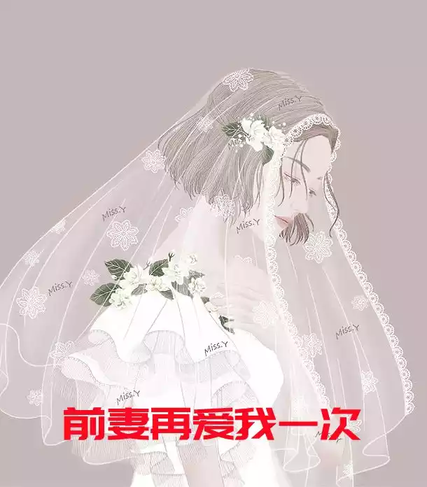 前妻再爱我一次小说