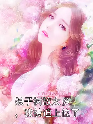 娘子树敌太多，我被迫上位了小说