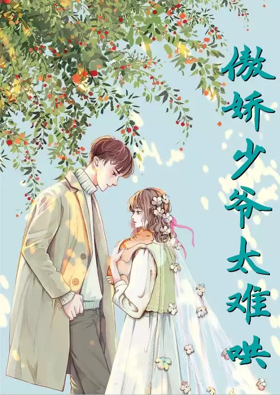 傲娇少爷太难哄小说