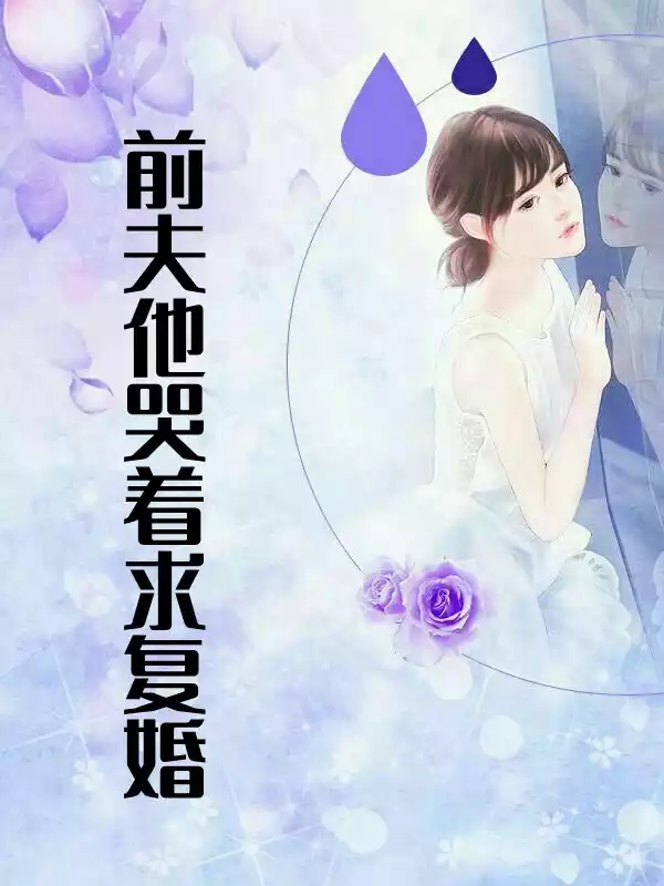 前夫他哭着求复婚小说