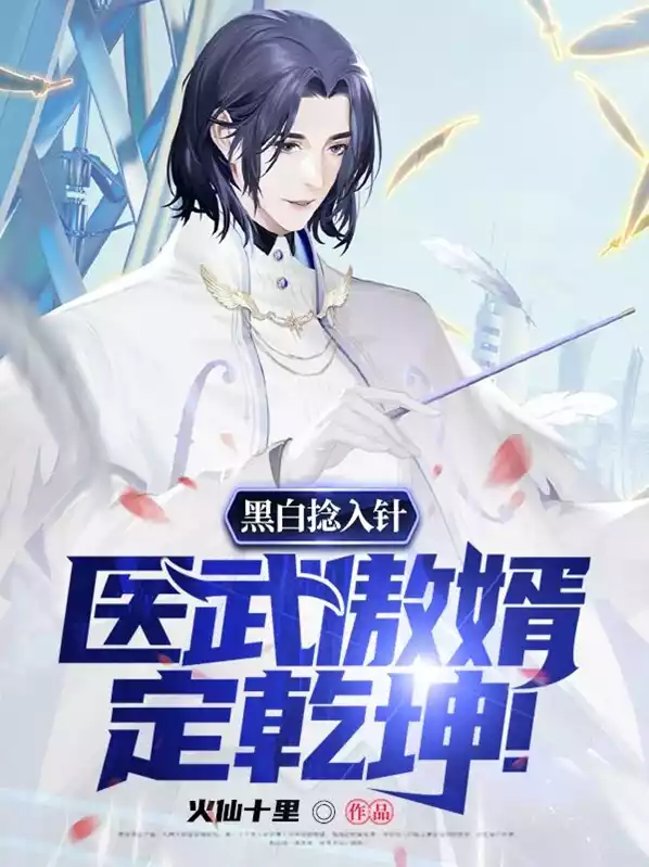 黑白捻入针医武傲婿定乾坤