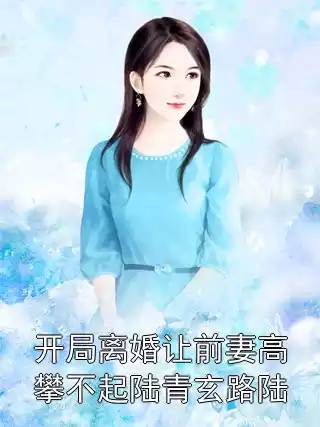 开局离婚让前妻高攀不起陆青玄路陆