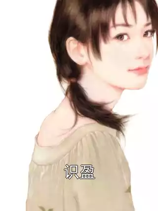 识盈小说