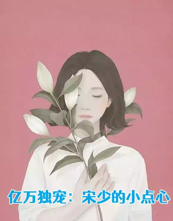 亿万独宠宋少的小点心小说