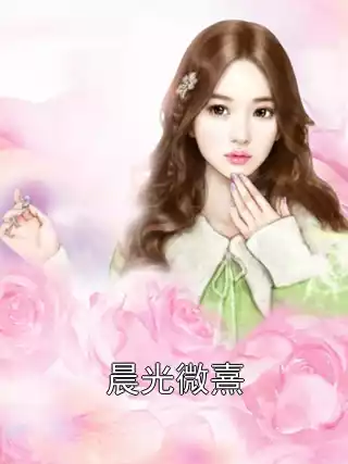晨光微熹小说