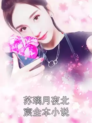 苏璃月夜北宸全本小说