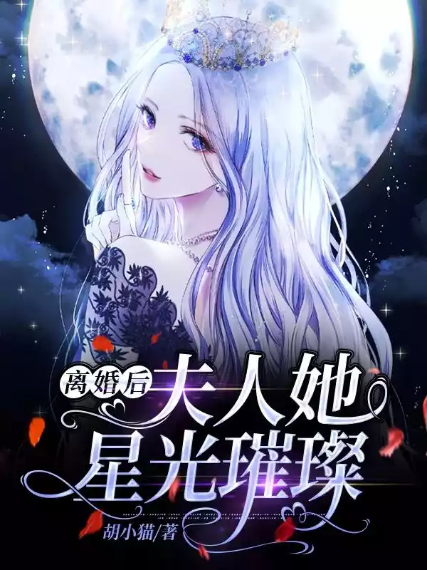 离婚后夫人她星光璀璨小说
