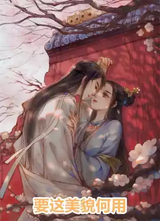 要这美貌何用小说