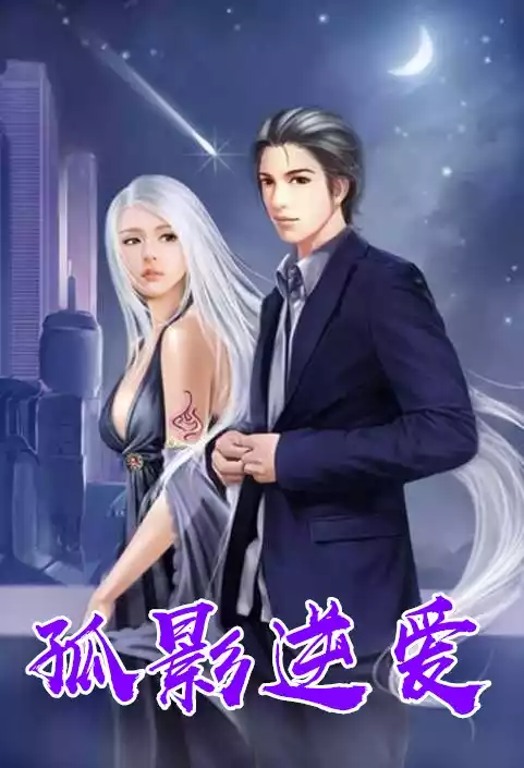 孤影逆爱小说