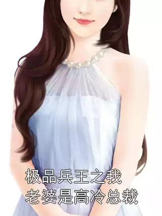 极品兵王之我老婆是高冷总裁小说