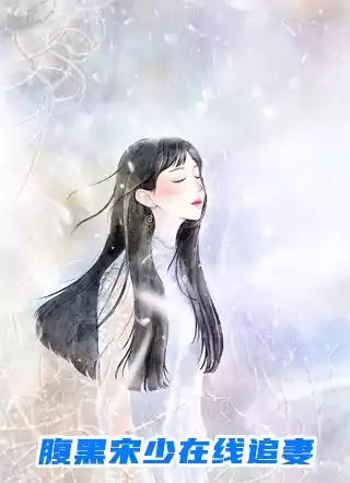腹黑宋少在线追妻小说