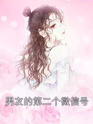 男友的第二个微信号小说